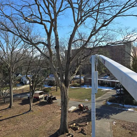 Tree Experts — Pruning