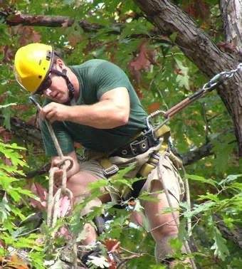 Tree Experts — Rob Rogg, owner