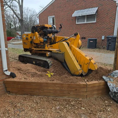 Tree Experts — Stump grinding